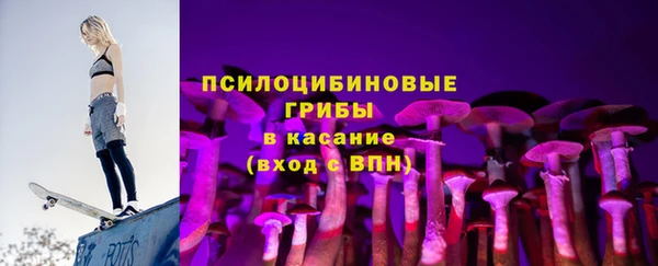ПСИЛОЦИБИНОВЫЕ ГРИБЫ Иннополис