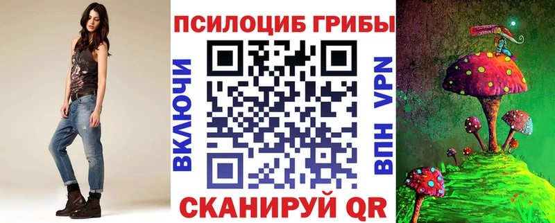 наркотики  Новокубанск  MEGA онион  Псилоцибиновые грибы GOLDEN TEACHER 