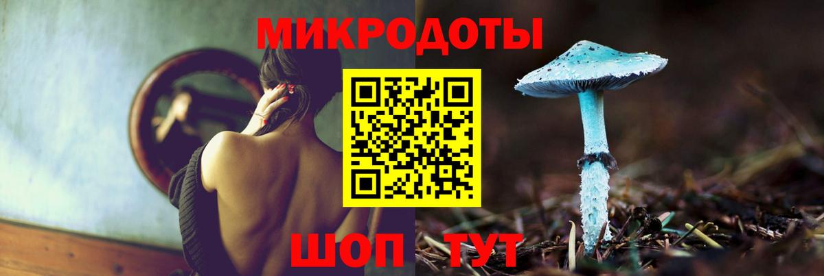 Псилоцибиновые грибы GOLDEN TEACHER  Псилоцибиновые грибы MAGIC MUSHROOMS  где можно купить   Вход с VPN  Новокубанск 
